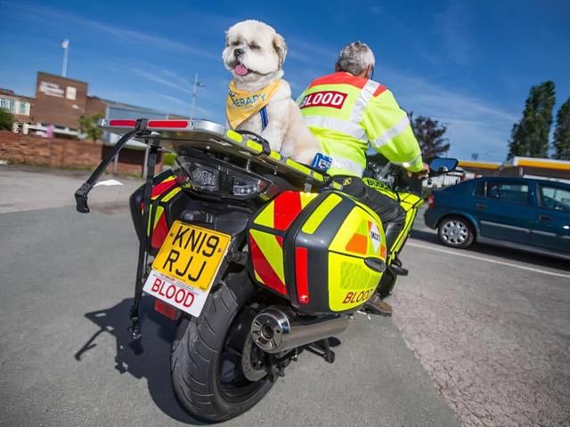 Buddi and The Blood Bikes Service
