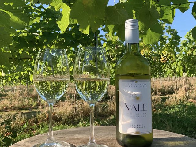 Vale Vineyard