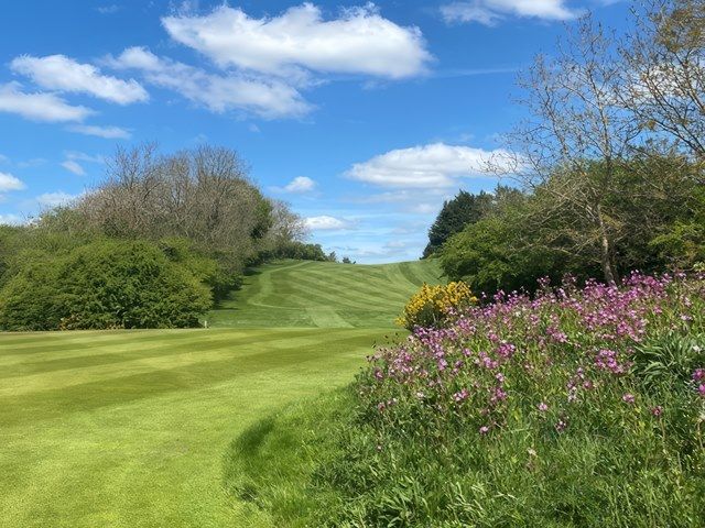 Mold Golf Club