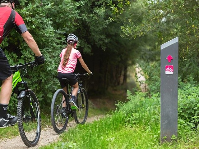 Discover Coed Nercwys Cycling